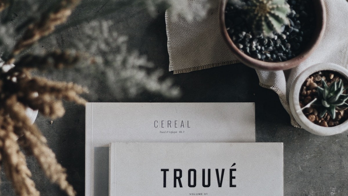 Flat lay shot of minimal magazines surrounded by plants and succulents on a stone background.